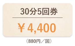 30分5回券